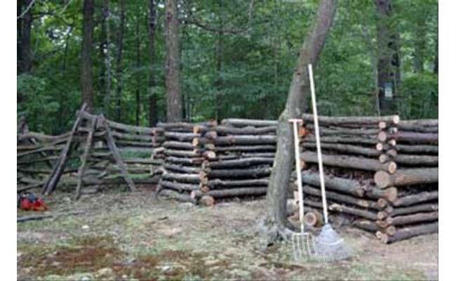 Log Bins